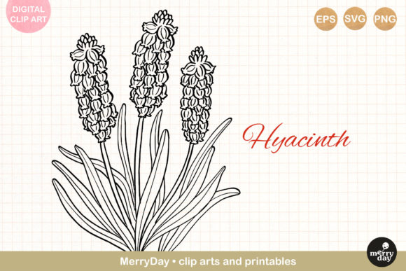 Grape Hyacinth Flower Line Art: A Designer’s Honest Take