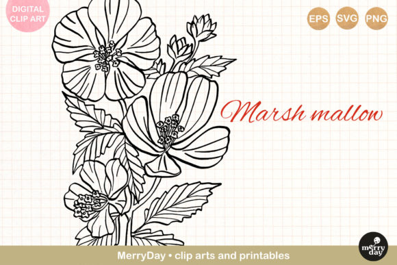 Marsh Mallow Flower Line Art Drawing Review for Embroidery Projects