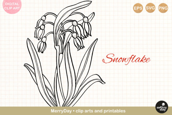 Snowflake Flower Line Art Drawing: A Designer’s Practical Review