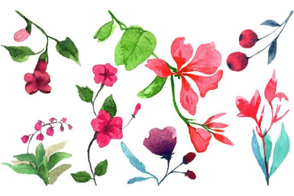 Watercolor Red Flower Elements Set Review for Real Projects